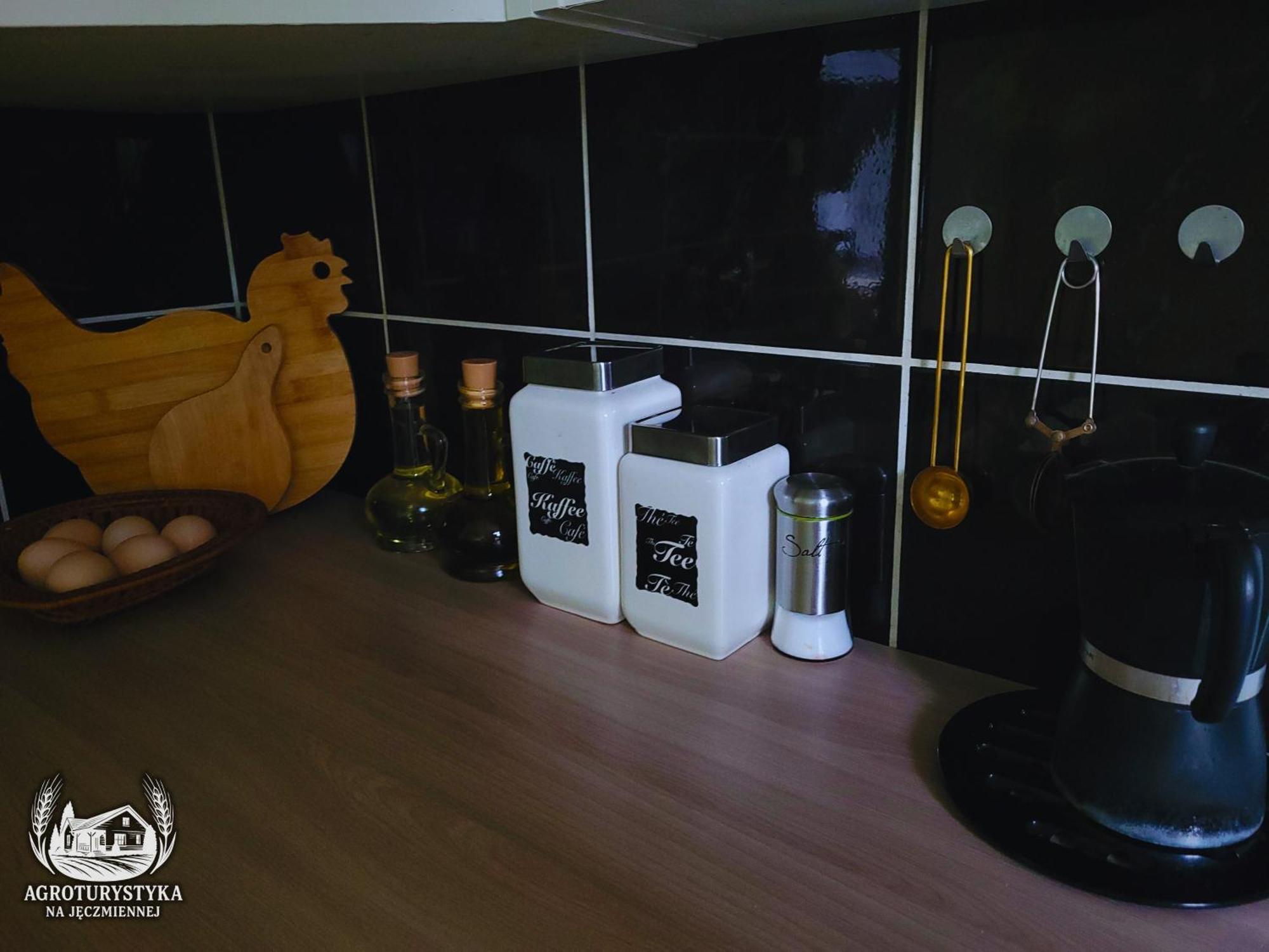 Karbowo Apartment Brodnica (Kuyavian-Pomeranian)